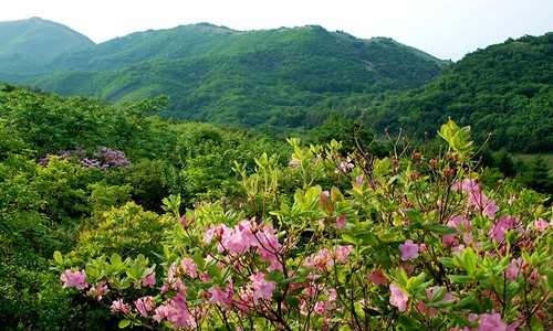 营口赤山团体票盖州赤山风景区门票预订团购