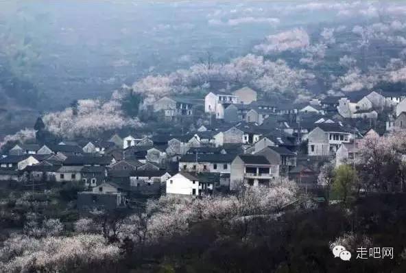 坐标:绍兴市上虞区岭南乡东澄村