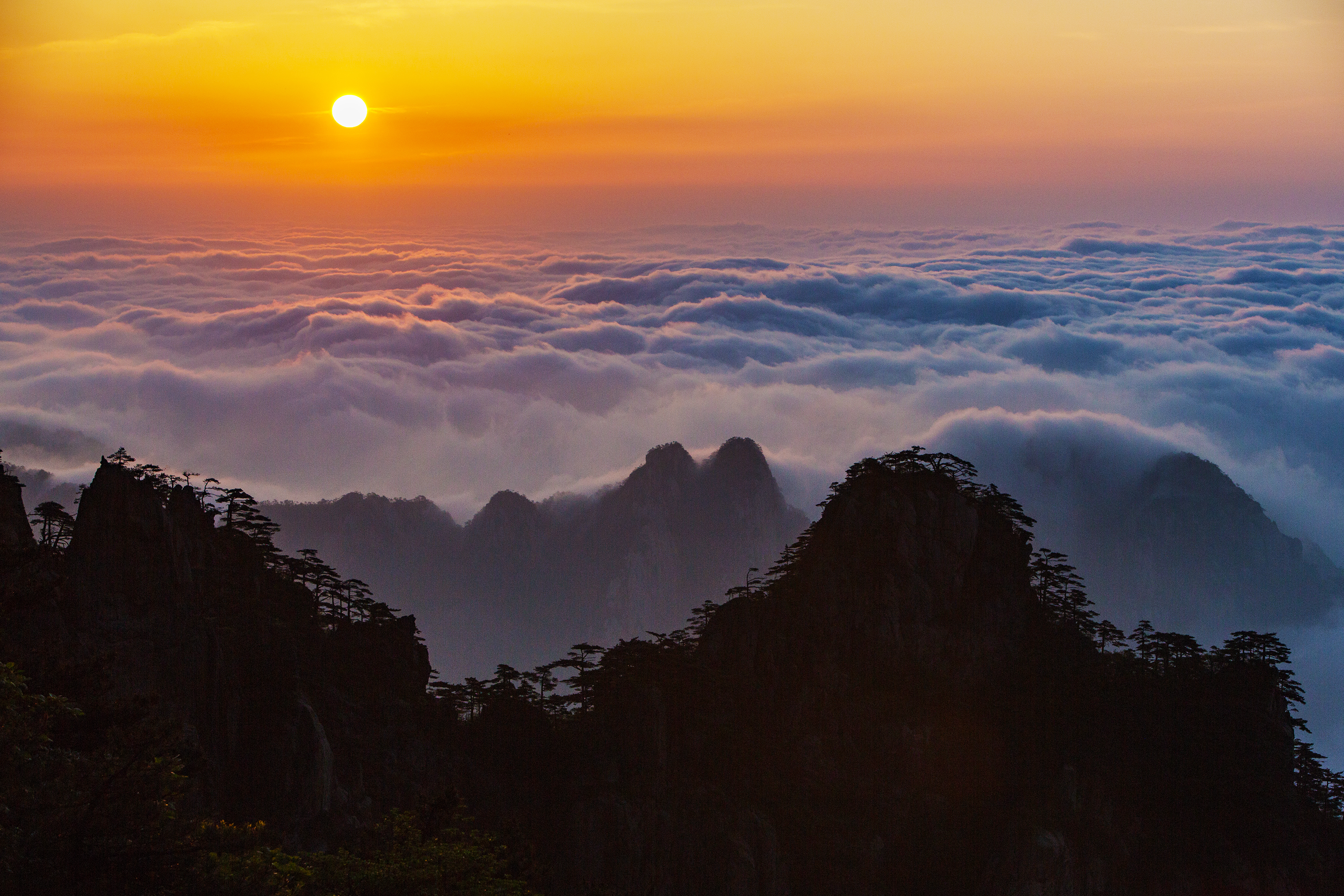 黄山:日出遇到了最美的云海 山树云光相互交集