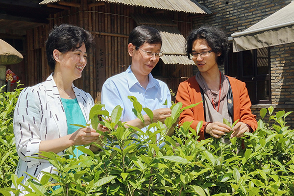 處長聶丹一行在福建省南平市林寶金市長的陪同下到訪中國白茶小圳石圳