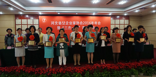 河北女企业家协会召开2016年三杰一星表彰大会