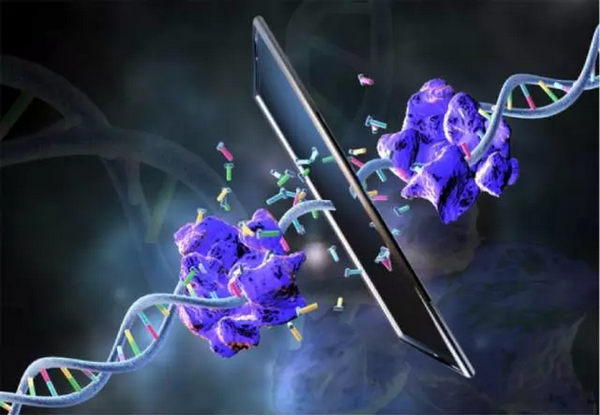 清華大學發表合成生物學重要成果:邁出構造鏡像生命體徵途的關鍵一步