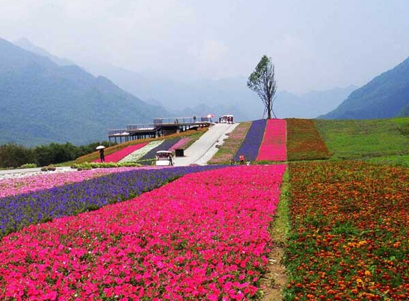 城口县中国亢谷景区免门票;九重花岭景区门票8折优惠.