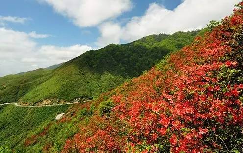 隆回高洲溫泉:5月19日,洗浴中心泡溫