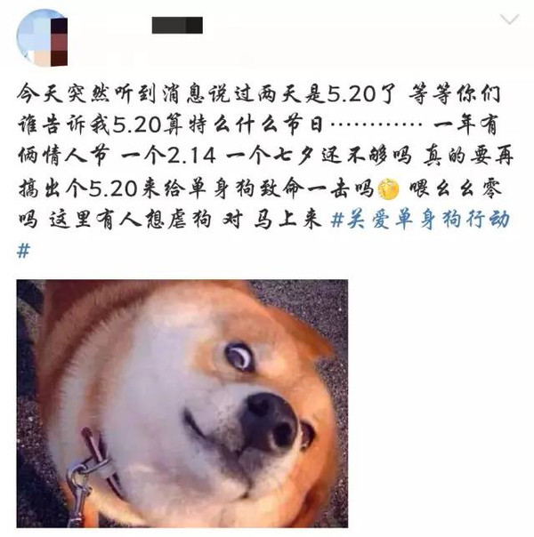 520如何表白句子