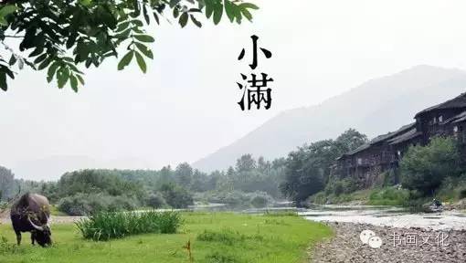 小满节气诗谚(24节气小满谚语)