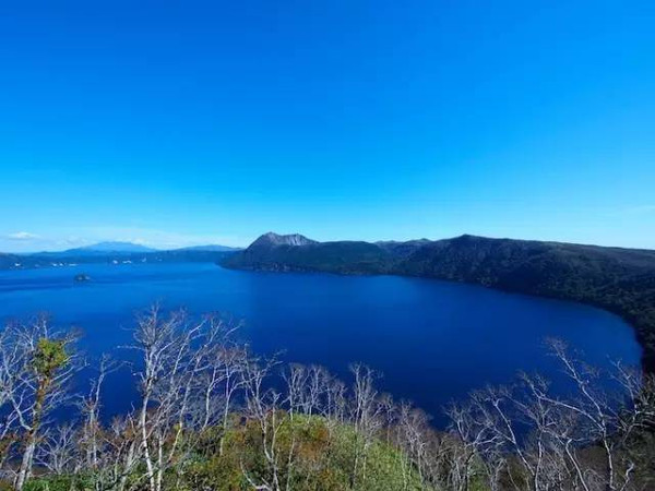 北海道!你说这些蓝色那么美,我说是的