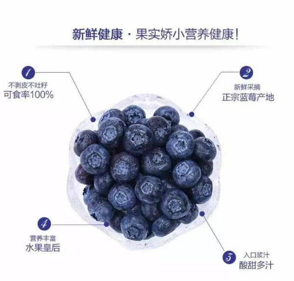 智利蓝莓品种介绍大全图片