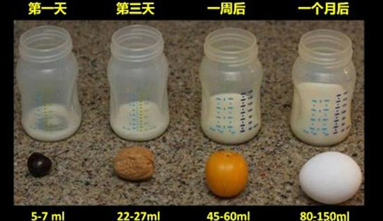 1个月新生儿胃容量图图片