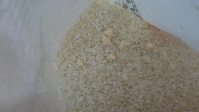 黄曲霉的米是什么样子图片