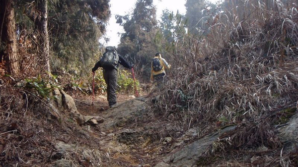 建德人都知道乌龙山,它的海拔有987米,可也不是人人都登顶过,小编曾用