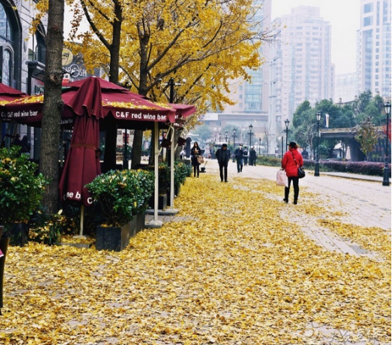 地址:长宁区黄金城道(古北路伊犁南路间)