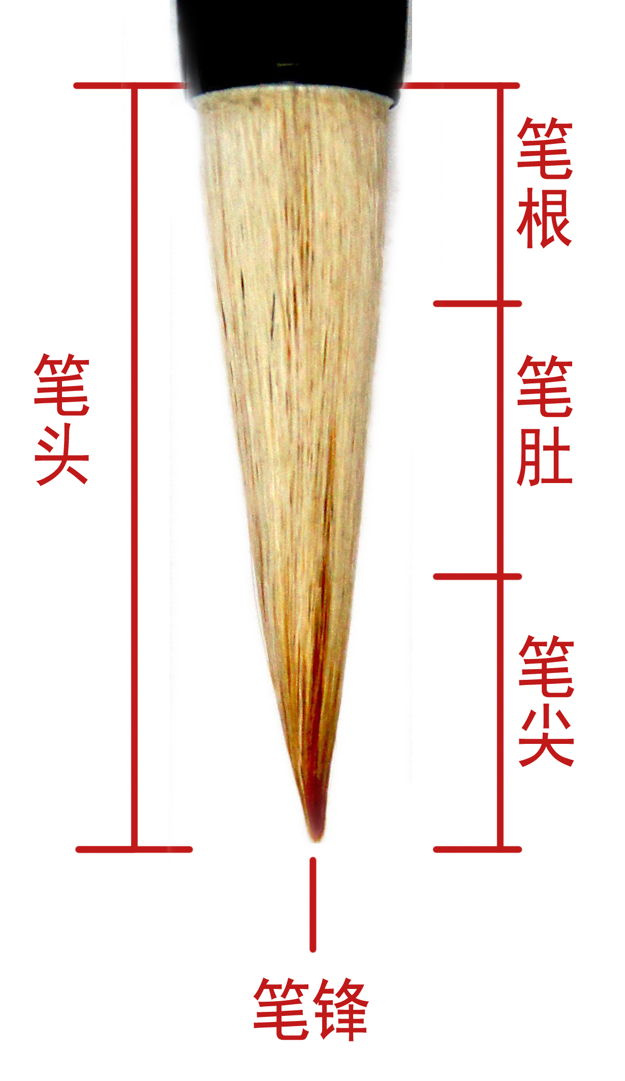 4毛笔各部位名称各种毛笔都是由笔杆和笔头两部分组成,但又不尽相同