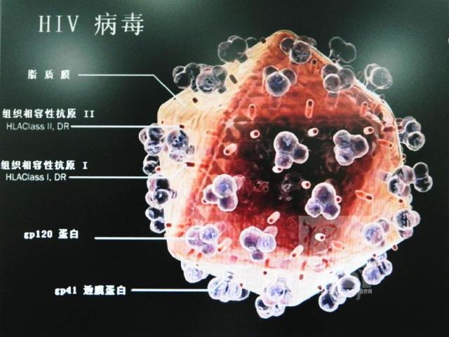 “爱丽兹”病毒图片