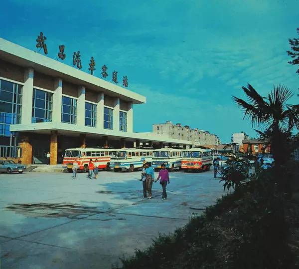 汉口王家墩机场图片