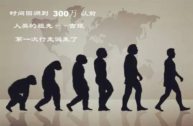 人类进化过程纪录片图片
