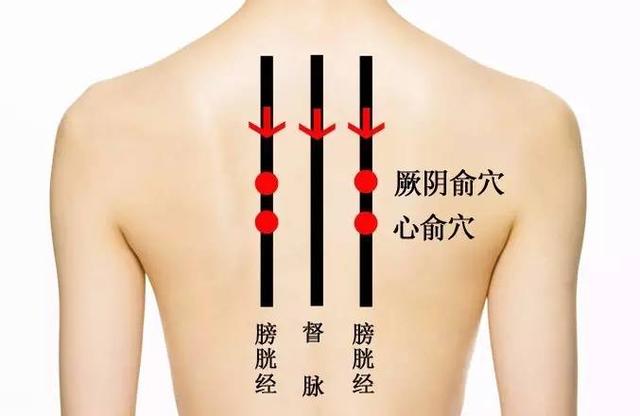 背部疼痛反射区图片