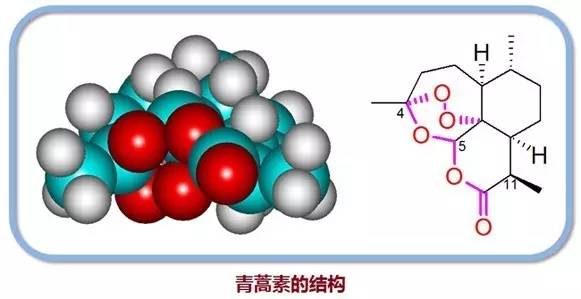 12喹啉与青蒿素类抗疟药物的分析-江西大学杭太俊药物分析第七版课件