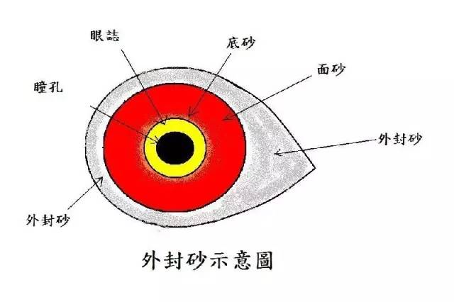 鸽子眼沙入门教程图解图片