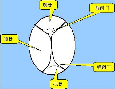 前囟位于前顶