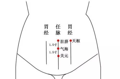 腹部血位置示意图天枢图片