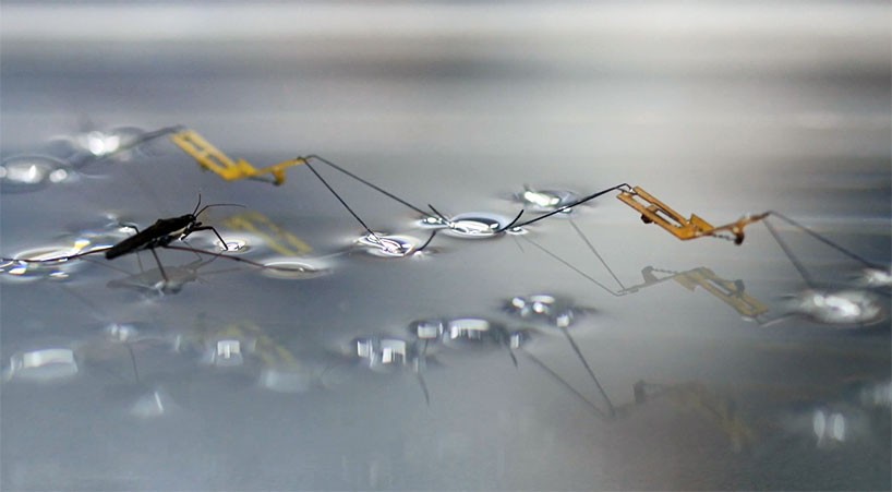 仿水黾微型机器人图片