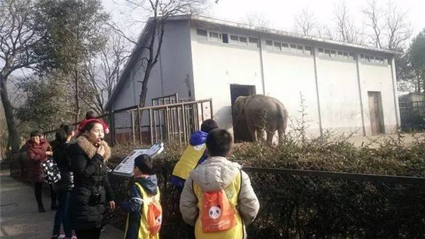 動物食堂大揭秘 在