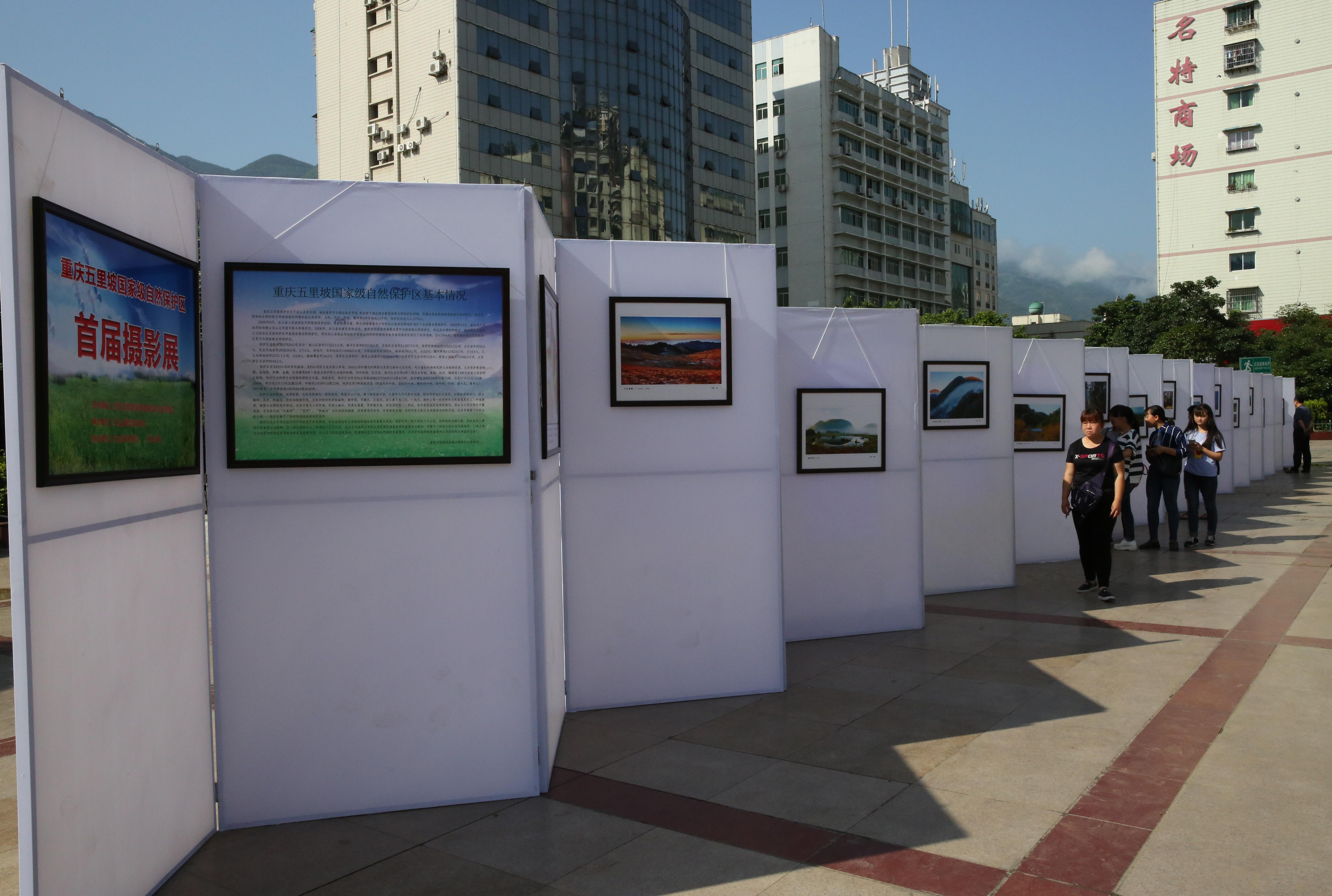 重庆五里坡国家级自然保护区举办首届摄影展