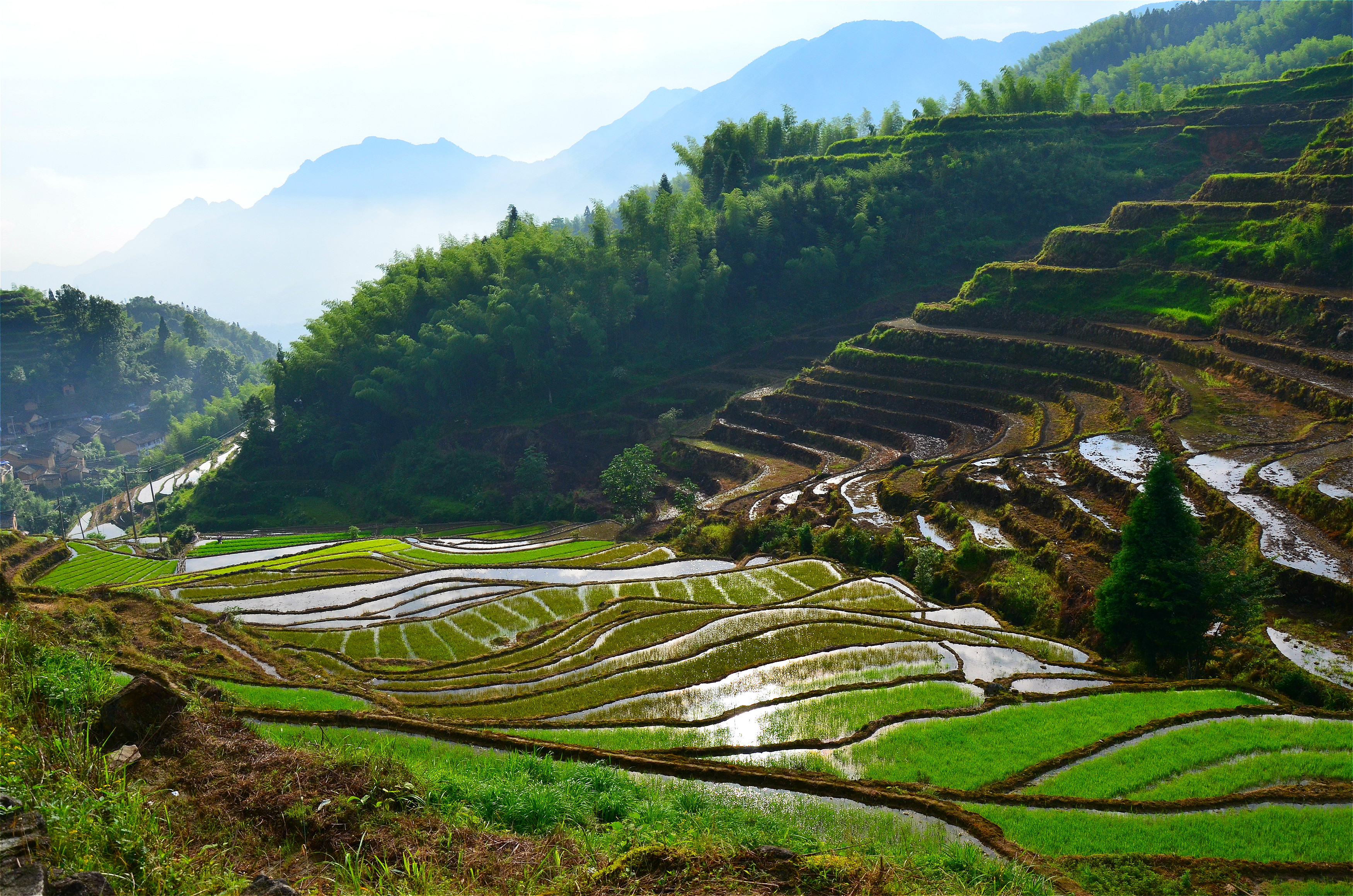 梯田以水田,树木,竹林调节气候,保持四季的气温与湿度,建立起一个自我