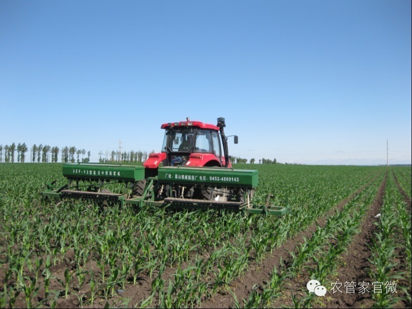 玉米想高产致富追肥技术是关键