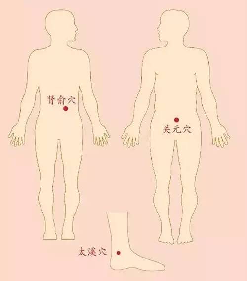 肾与肚脐位置图图片