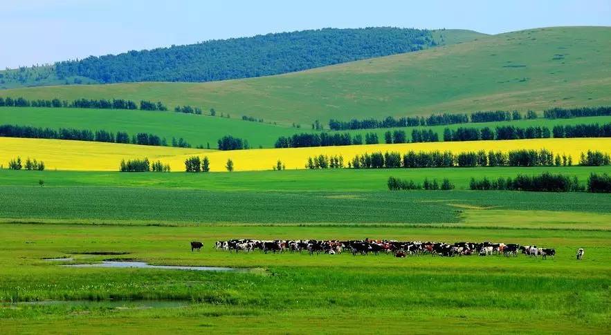 7月-10月的科尔沁草原碧野千里,风景如画.