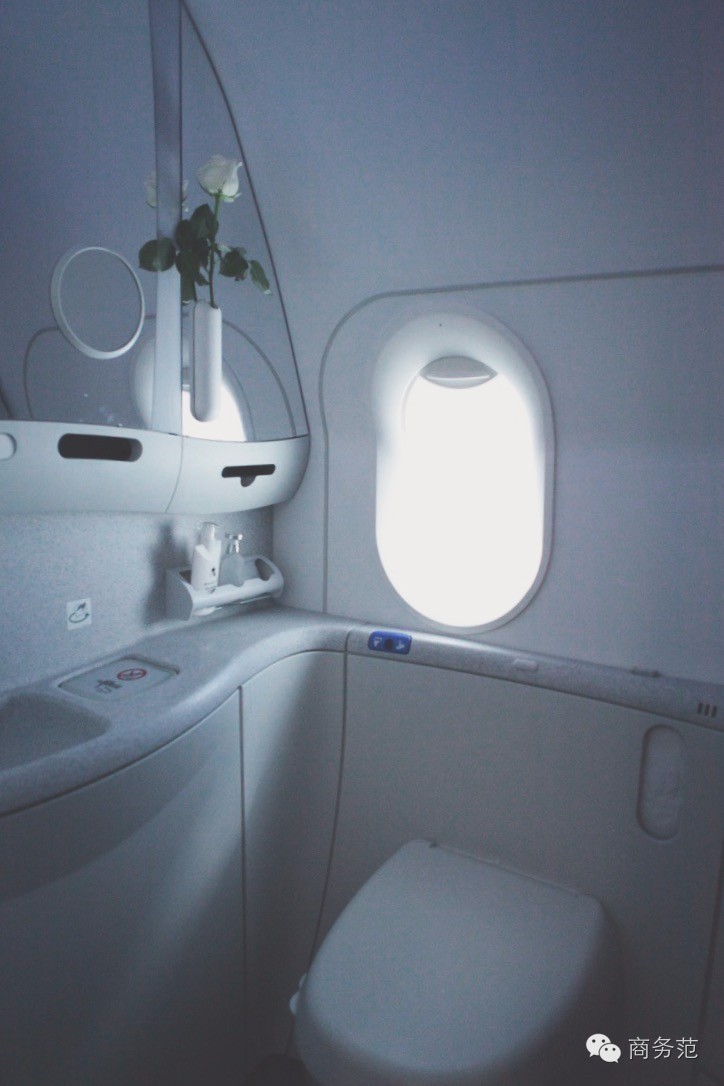 飞机卫生间位置图片