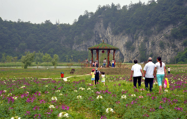 花坝旅游景区图片