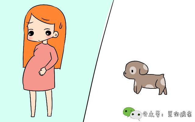 武汉薛女士怀孕四个月了,平时挺害怕小动物的,尤其是小狗