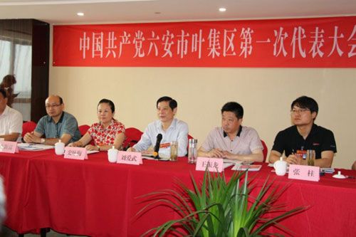 六安叶集区刘爱武参加区第一次党代会平岗代表讨论