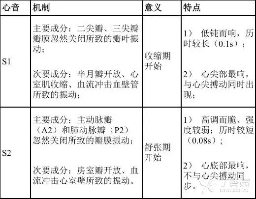 第一心音标志着图片