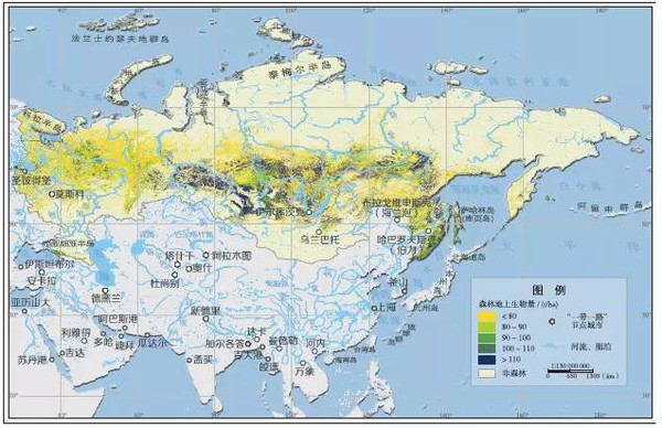 09万km2,森林类型主要为北方针叶林,地上生物量总量为93252亿t