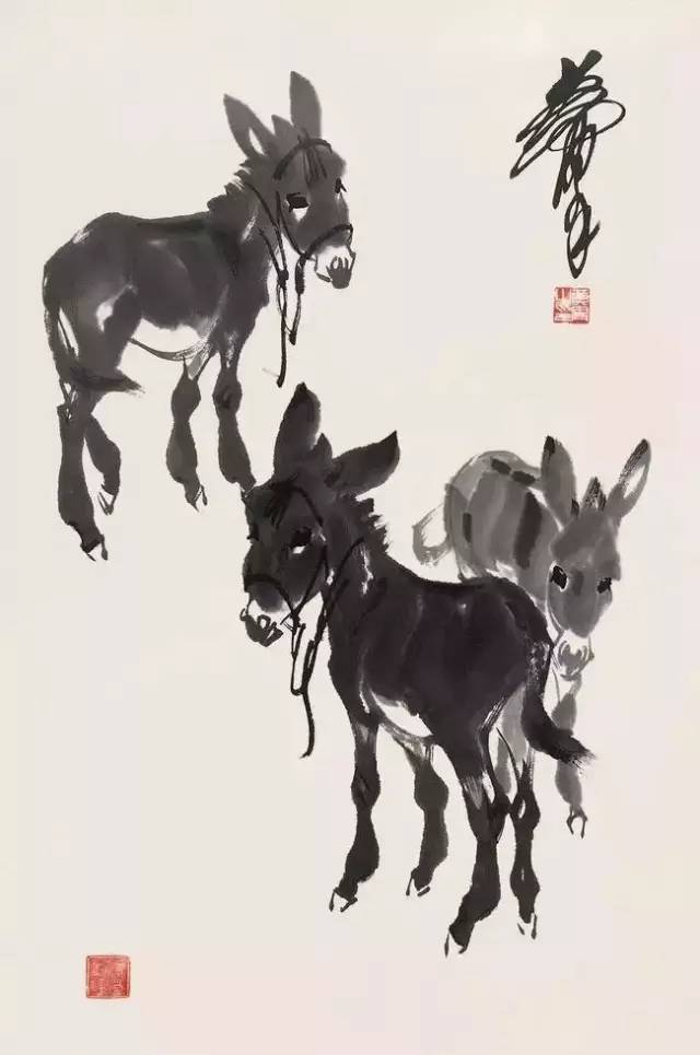 画驴第一人图片