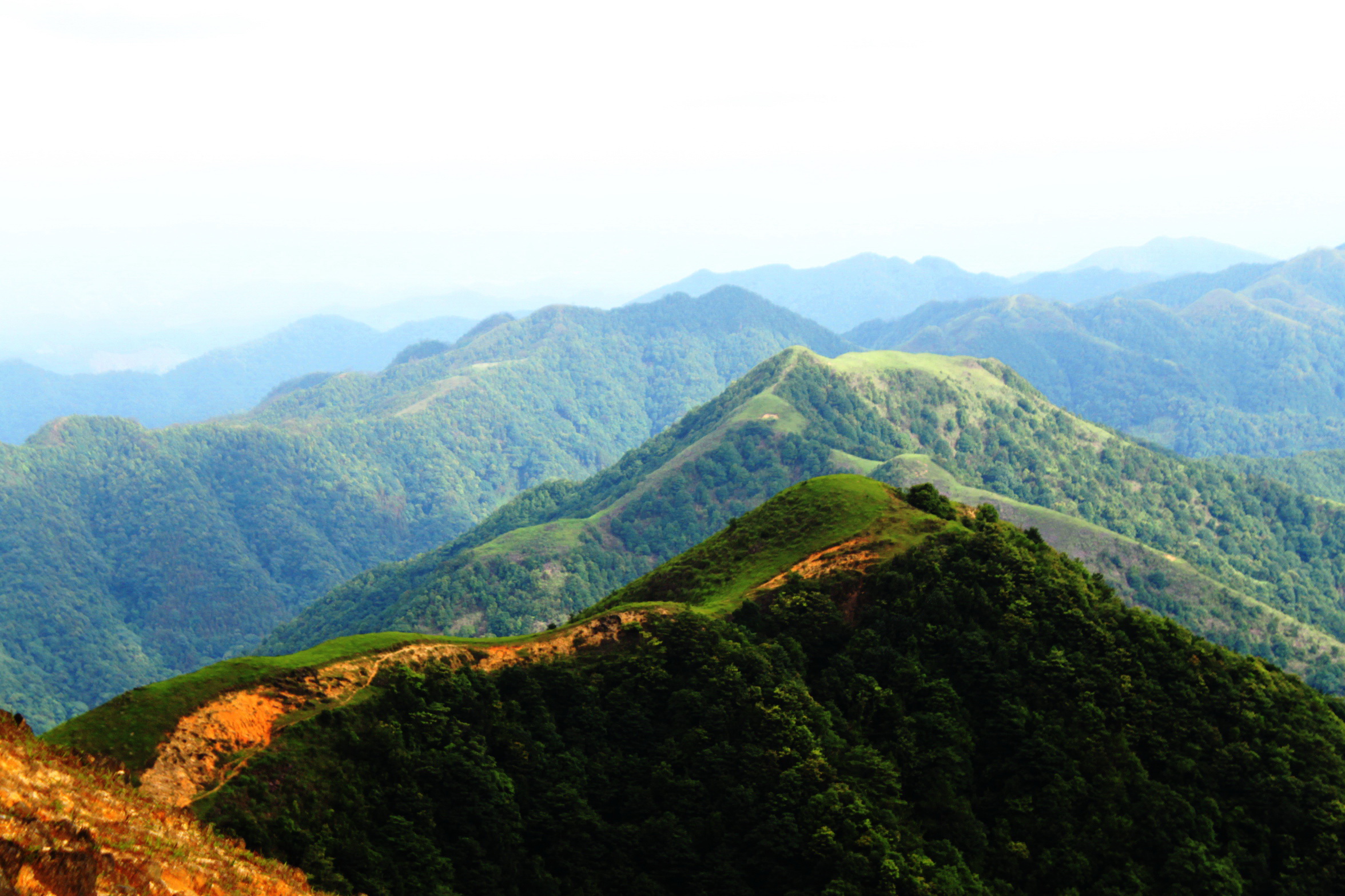 去你不知道的广东最美草原八排山,打滚纳凉