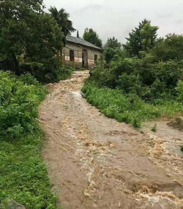 谦益农场虚心谷前的暴雨山洪