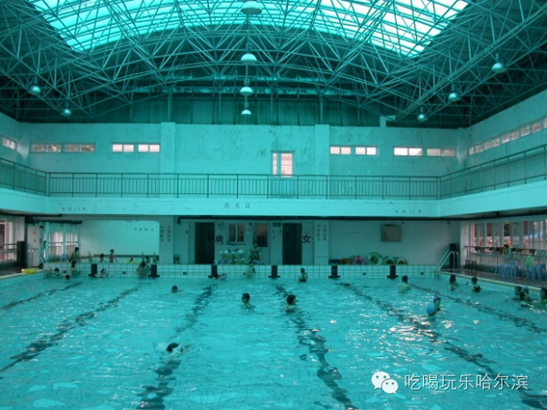 哈尔滨市游泳馆图片