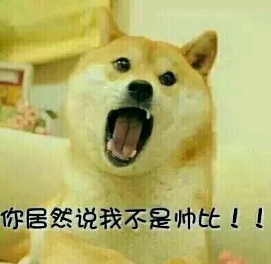 史上最全的doge表情包伸手党不要错过