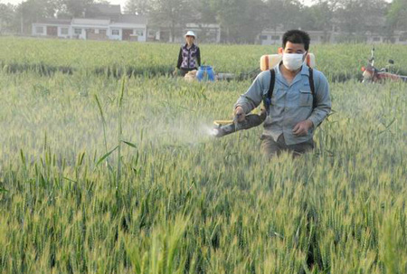 常见农药喷施安全间隔期(太实用了!