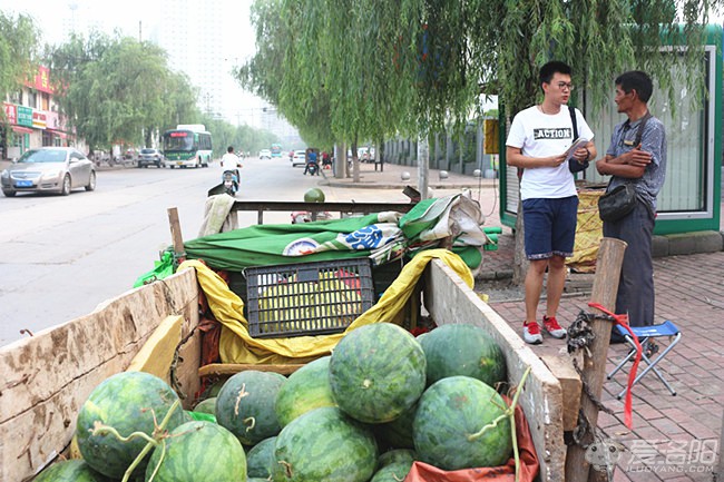 宜阳的陈师傅今年53岁,凌晨两三点就走,开着拖拉机从