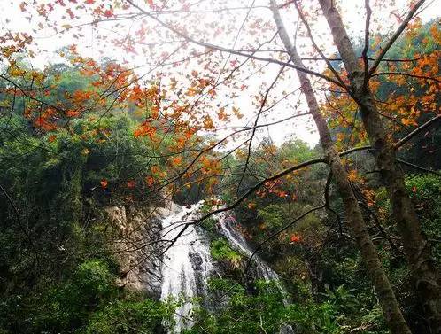 永泰龙山莒溪风景区