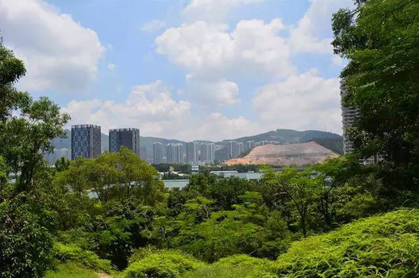 地址:深圳市南山区香山中街地铁:侨城北站莲花山公园地址:深圳市福田