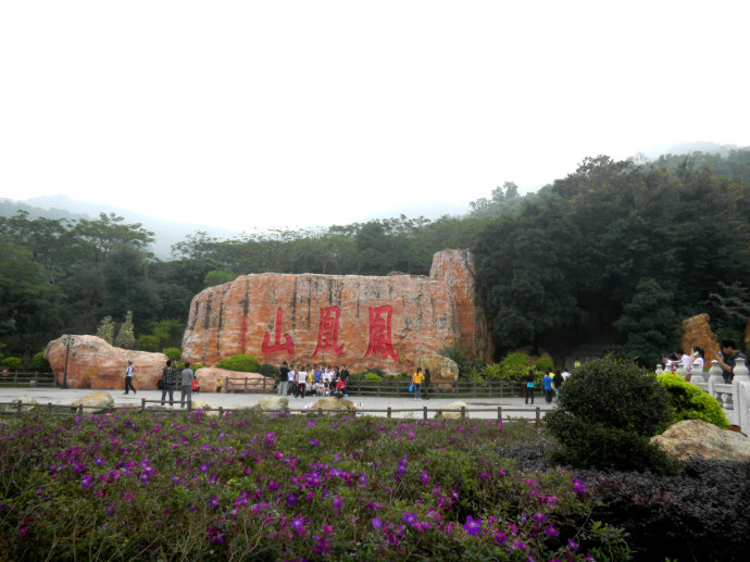 鳳凰山森林公園位於深圳市寶安區福永