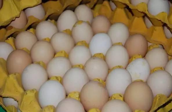 红皮鸡蛋和白皮鸡蛋哪个营养更好