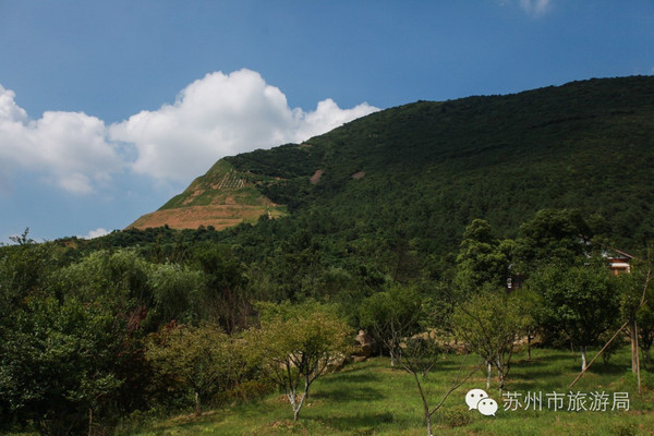 有個蘇州0202爬山吃素面喝茶為健康生活我們約定常來這裡可好